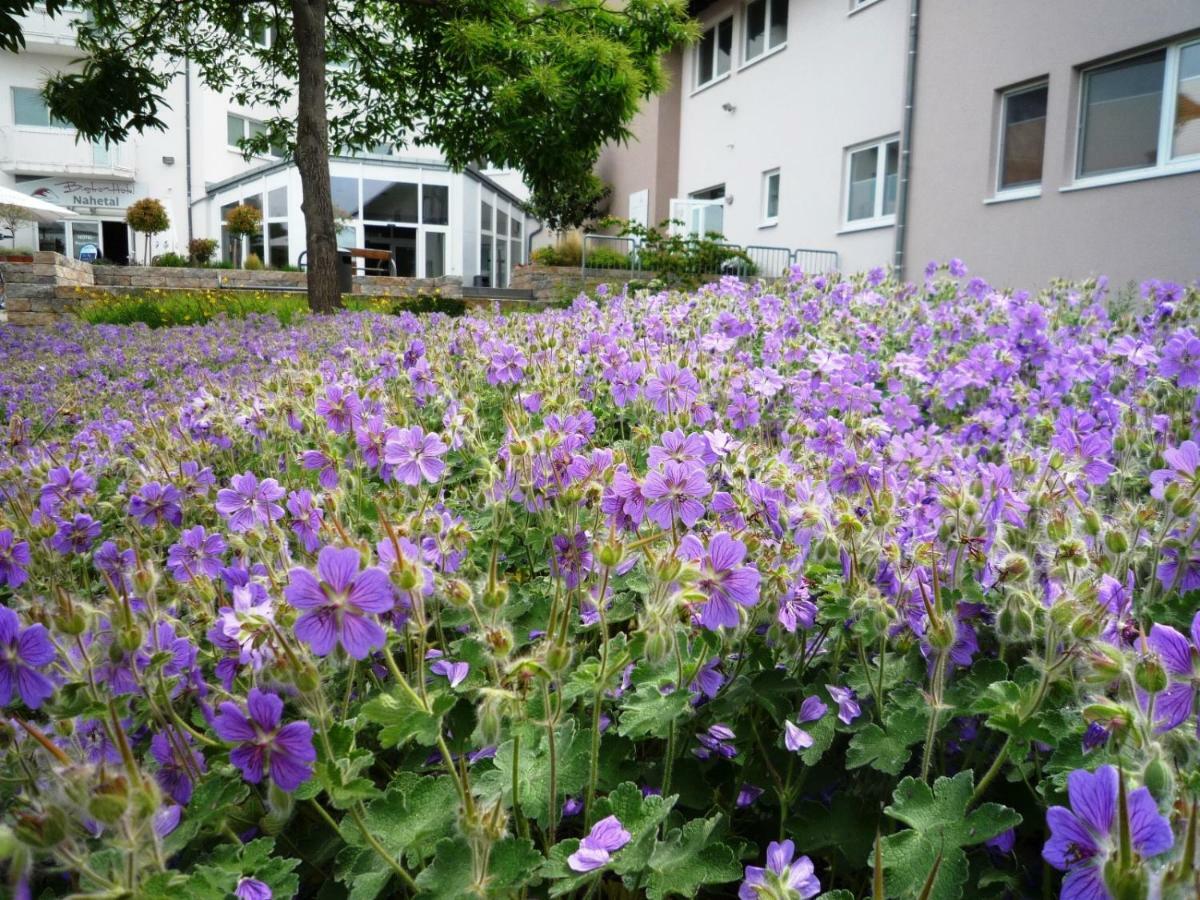Hotel Nahetal Gensingen 외부 사진